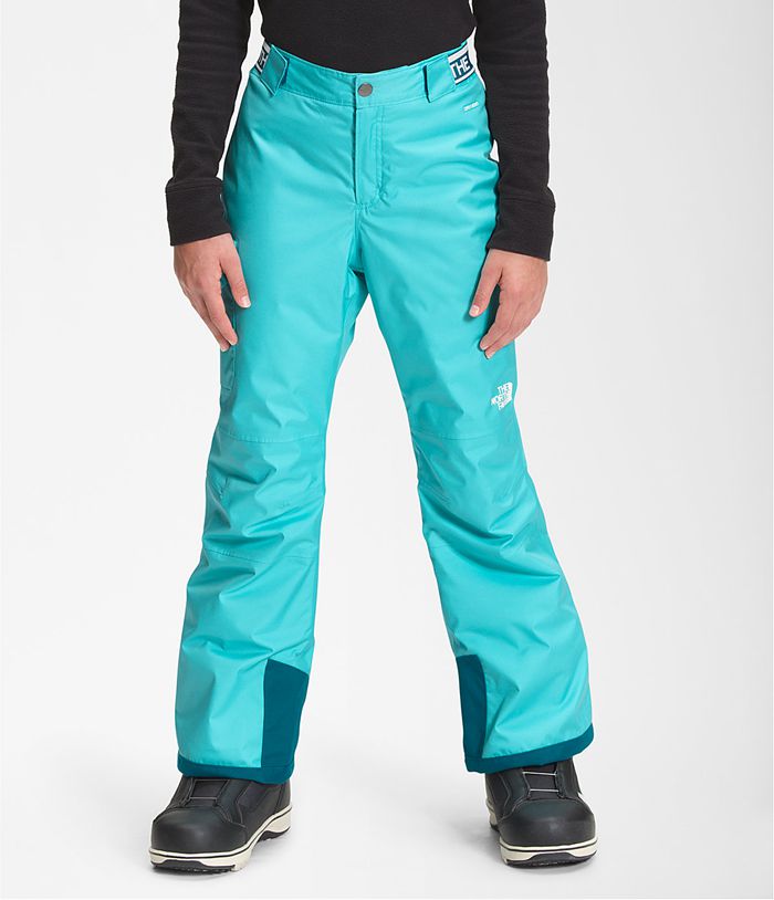 Bottoms The North Face Niña Azules Freedom Insulated Pantalones 71894PSCB